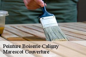 Peinture Boiserie caligny-61100 Marescot Couverture