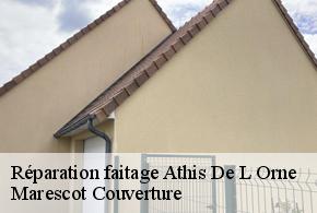 Réparation faitage athis-de-l-orne-61430 Marescot Couverture