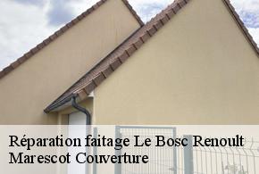 Réparation faitage le-bosc-renoult-61470 Marescot Couverture