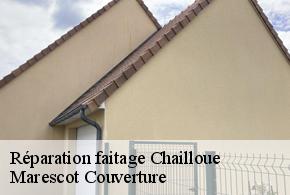 Réparation faitage chailloue-61500 Marescot Couverture