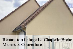 Réparation faitage la-chapelle-biche-61100 Marescot Couverture