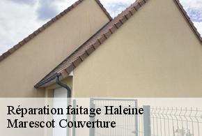 Réparation faitage haleine-61410 Marescot Couverture