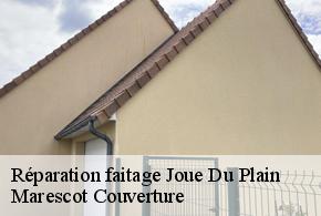 Réparation faitage joue-du-plain-61150 Marescot Couverture