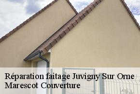 Réparation faitage juvigny-sur-orne-61200 Marescot Couverture