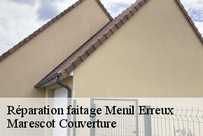 Réparation faitage menil-erreux-61250 Marescot Couverture