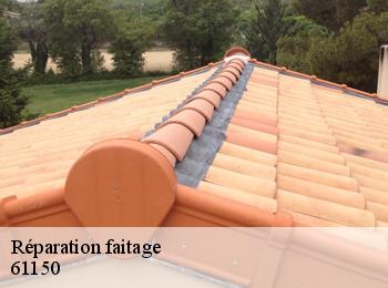 Réparation faitage 61150