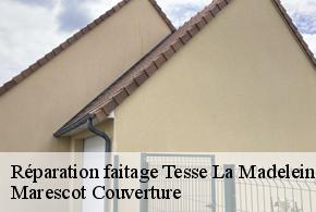 Réparation faitage tesse-la-madeleine-61140 Marescot Couverture